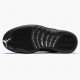 Jordan 12 Retro Dark Concord Herre CT8013-005 Jordan sko