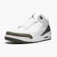 Jordan 3 Retro Mocha Dame/Herre 136064-122 Jordan sko