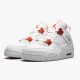 Jordan 4 Retro Metallic Orange Dame/Herre CT8527-118 Jordan sko