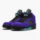 Jordan 5 Retro Alternate Grape Herre 136027-500 Jordan sko