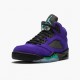 Jordan 5 Retro Alternate Grape Herre 136027-500 Jordan sko