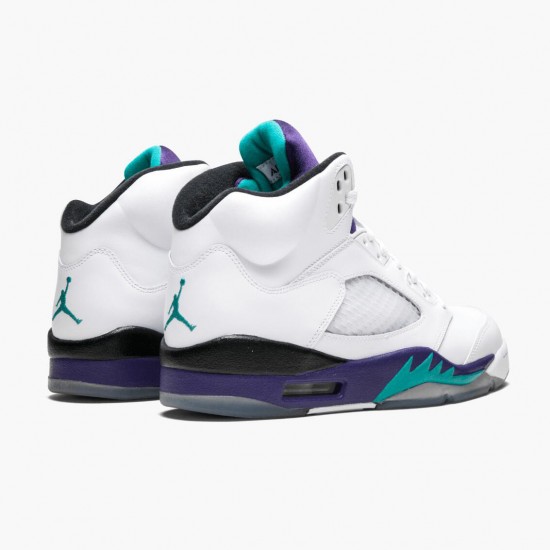 Jordan 5 Retro Grape Herre 136027-108 Jordan sko