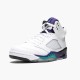 Jordan 5 Retro Grape Herre 136027-108 Jordan sko