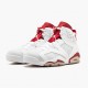 Jordan 6 Retro Alternate Dame/Herre 384664-113 Jordan sko