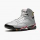 Jordan 7 Retro Reflections of A Champion Herre BV6281-006 Jordan sko